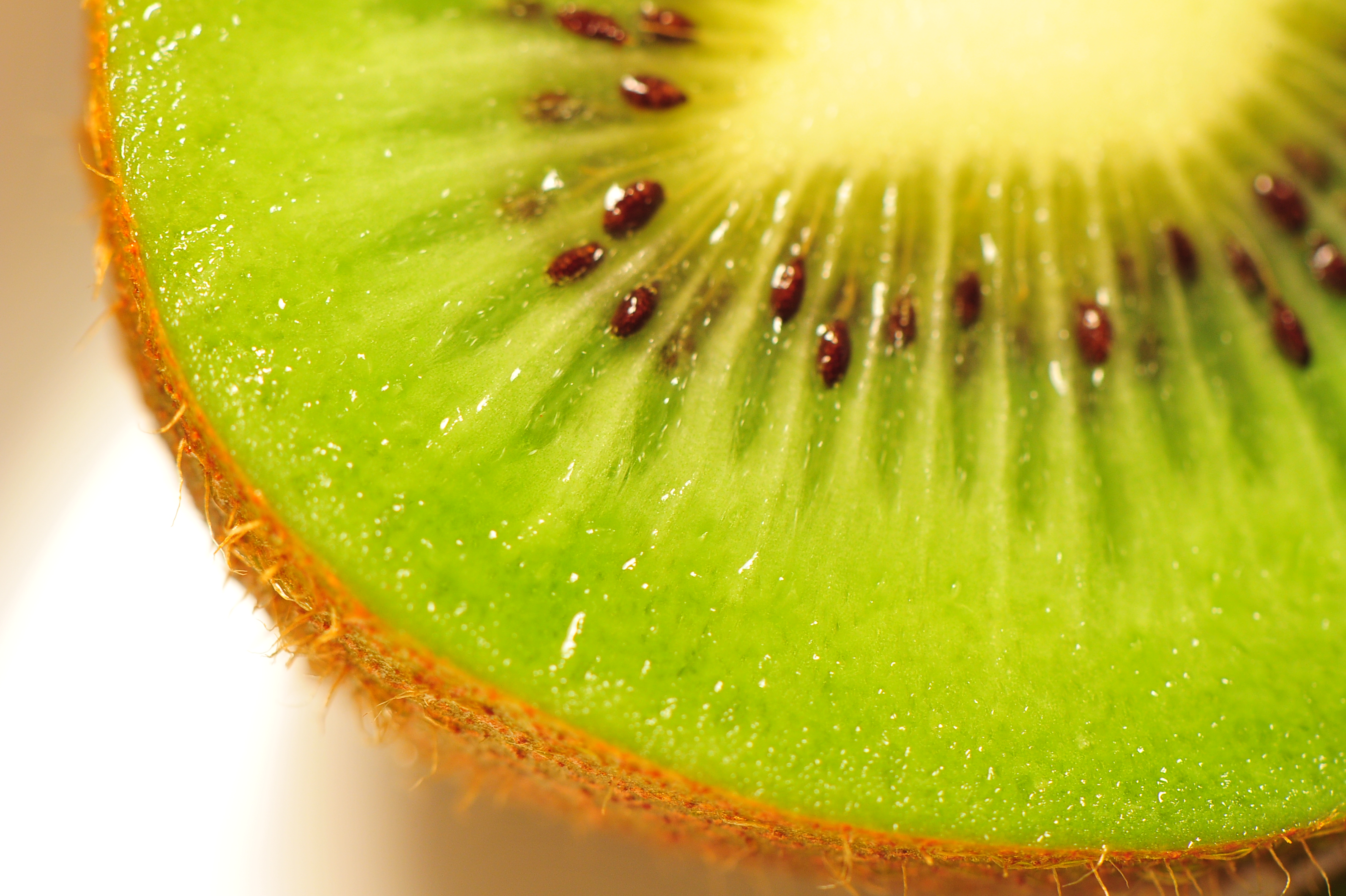 Kiwi fruit close up
